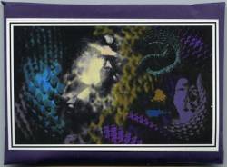 A Pregnant Light : Most High Place